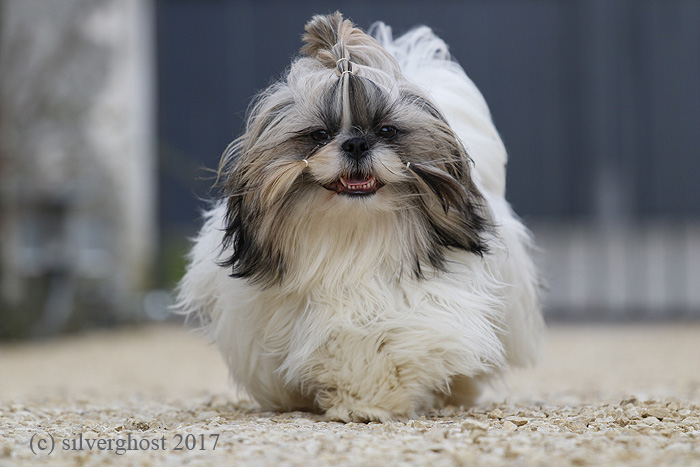 _MG_2491_Milky_9Monate_700x _MG_2491_Milky_9Monate_700x