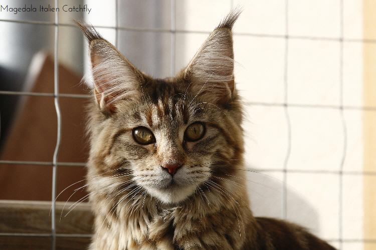 _MG_9740_Catchy_1500x