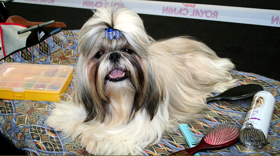 013 Robby 950 x 500 013 Robby 950 x 500