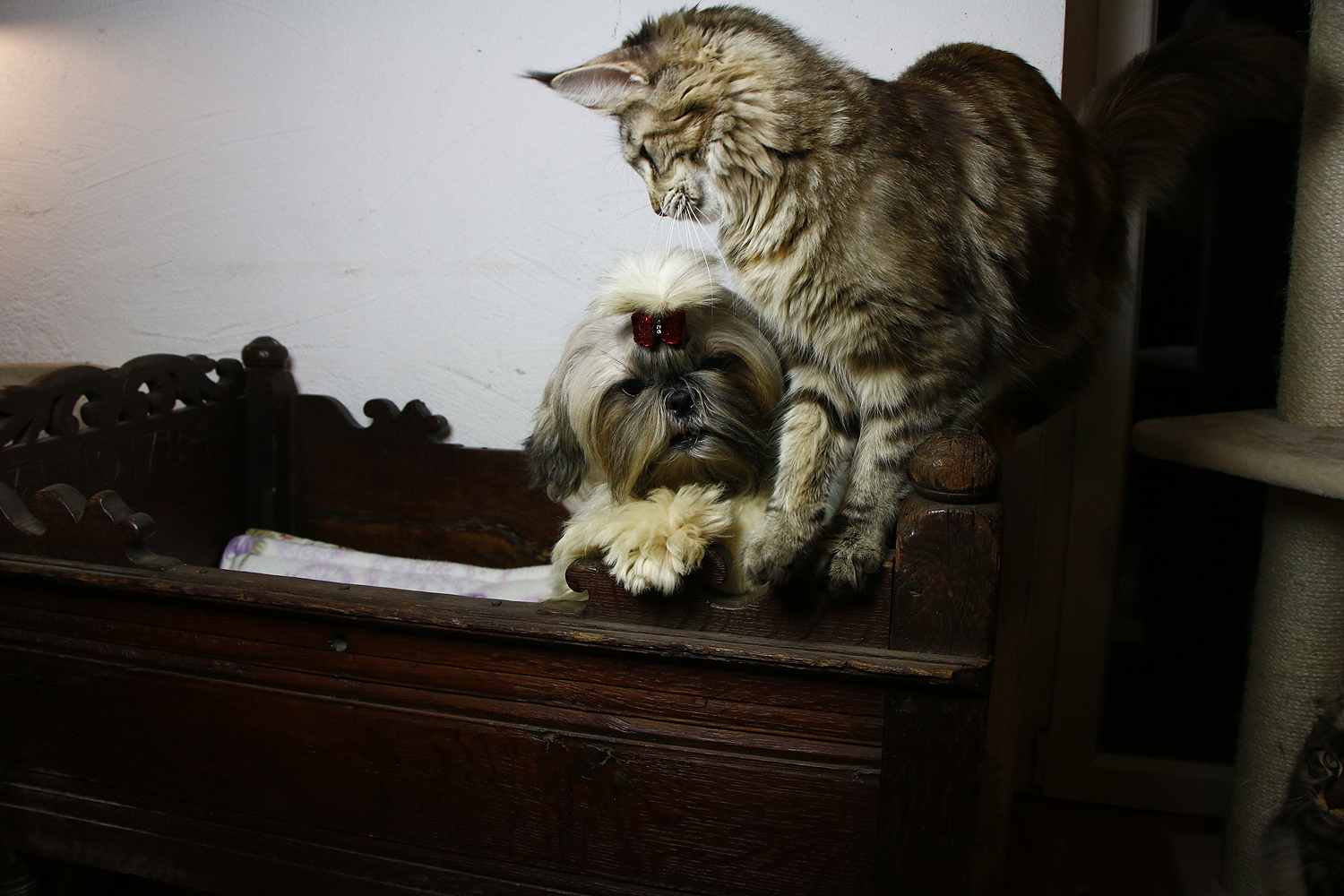 _MG_1139_08-12-2020_1500x _MG_1139_08-12-2020_1500x