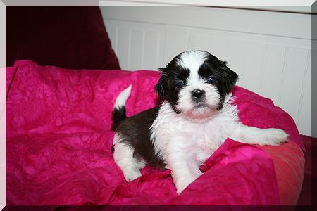 034female #3 450x