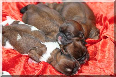 27-05-08 051 M�dchen 300x