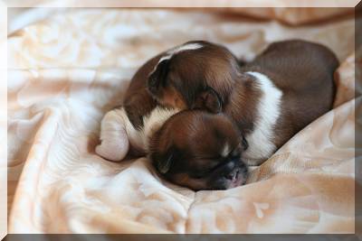 31-05-08 008 R�den 5 Tage