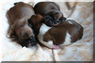 31-05-08 021 M�dchen 5 Tage