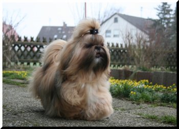 Anne 17-02-07 027
