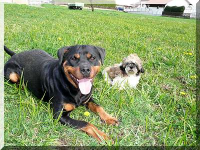 Bansi & Topi 17-04-09 013