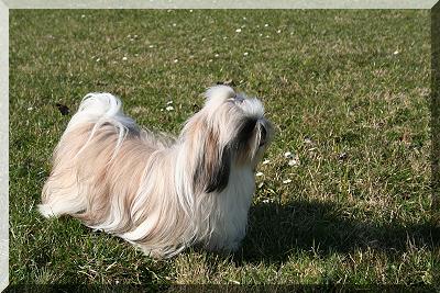 Robby  Missy 024 400x