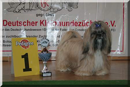 Toffee LS Bayern 09