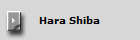 Hara Shiba