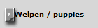 Welpen / puppies