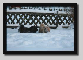 Anne & Nishi 24-01-07 053