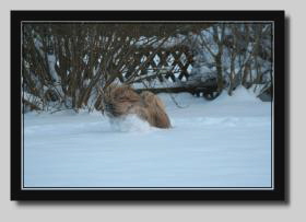 Anouschka 24-01-07 039
