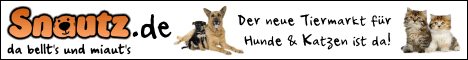 banner-468x60 Snautz