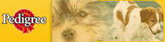bannerb_234_60_ped