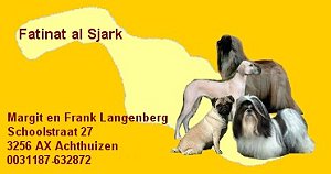 bannerfatinat al sjark 300