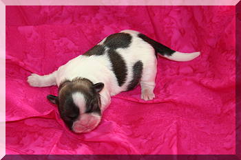 female 03-03-10 022