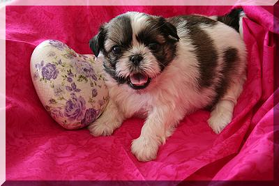 female 31-03-10 003