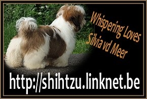 label-shihtzu-lin-be