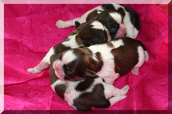 males 03-03-10 023